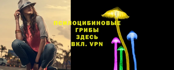 МДПВ Семёнов