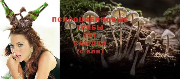 прущие крисы Абинск