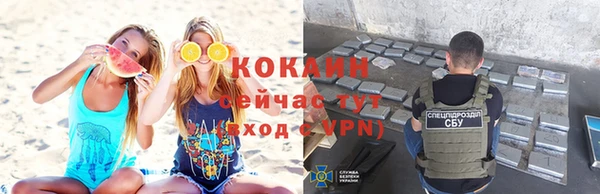 PSILOCYBIN Семилуки
